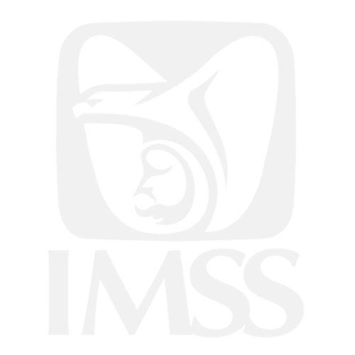 IMSS - Cliente SIGMI